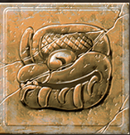 Alligator